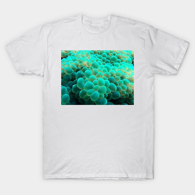 Bubble Coral T-Shirt by likbatonboot